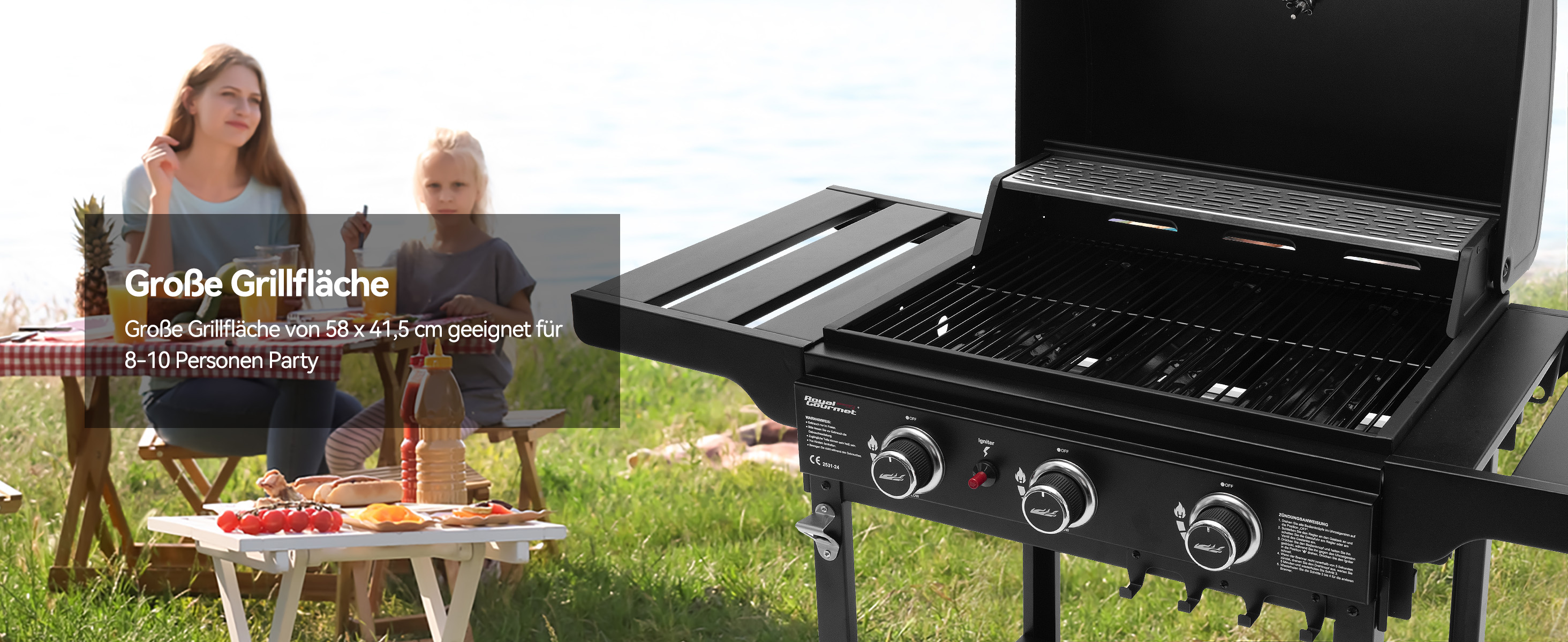 Grill 3