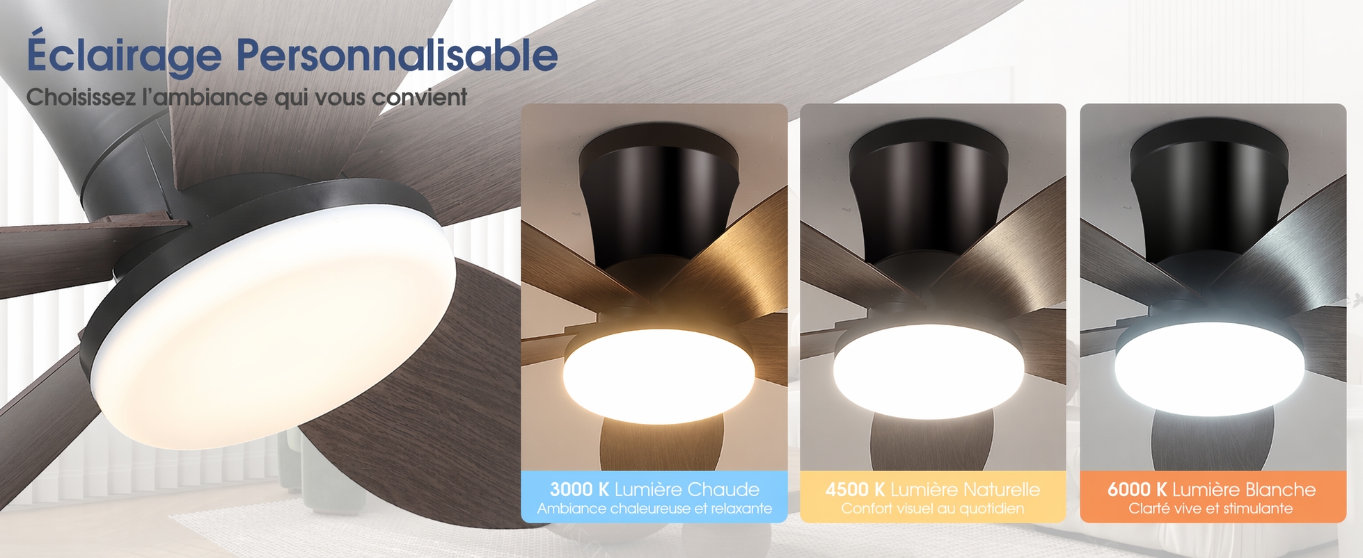 Éclairage personnalisable 3000 K 4500 K 6000 K