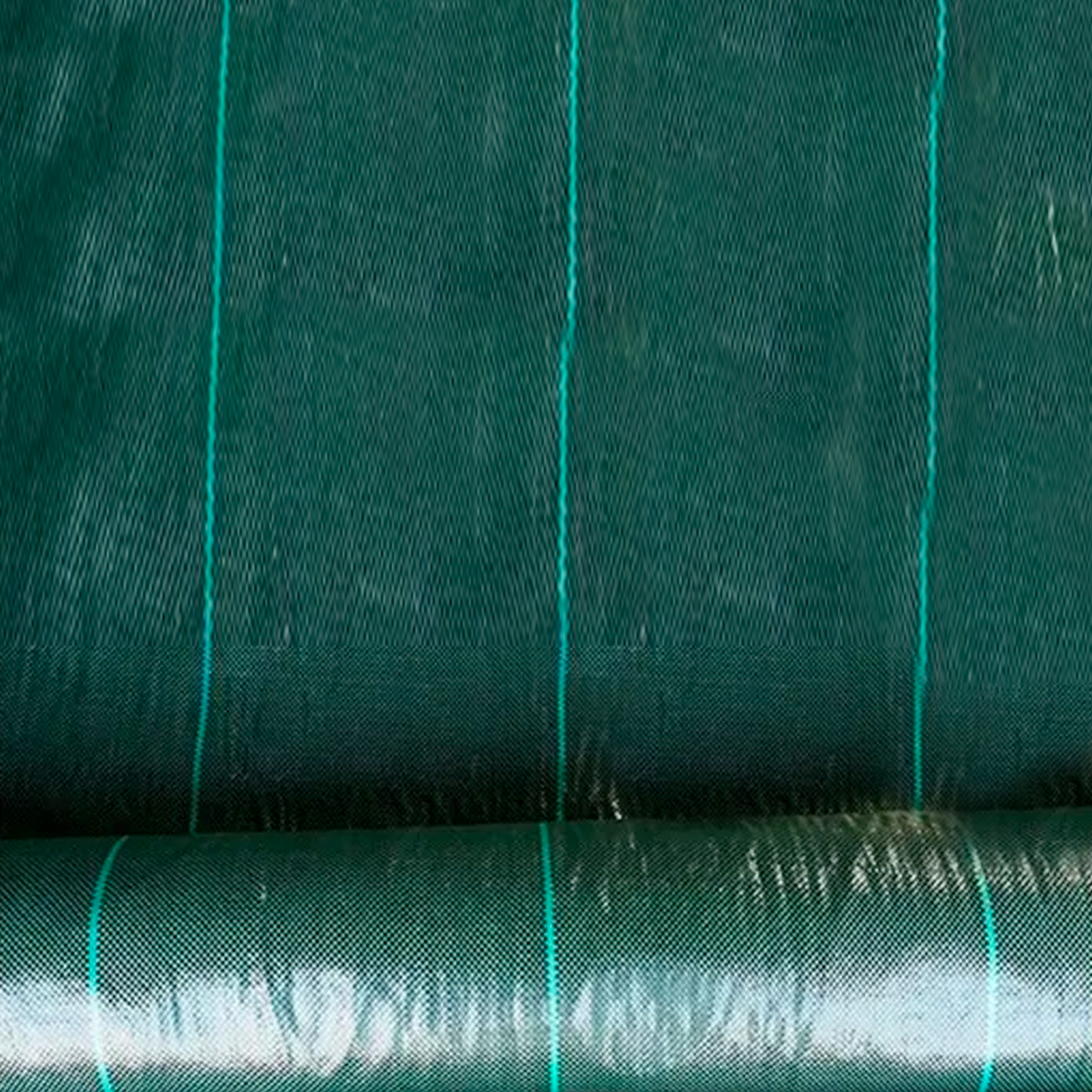 Telo Pacciamatura In Rotoli 90gr/mq Anti Erbacce Pacciamante Per Orto Giardino Elevata Stabilizzazione Raggi UV Permeabile Drenante Copertura Terreno Antialga Calpestabile (H 52 Cm X 25 M, Verde) -Negozio al dettaglio Piante Casa AAHKMJXYDAFdJAOAIMEbOAch7w5JgkD56B5b mYl T9Isf4DCJN 5REyQjePMyCh ltBtoxu