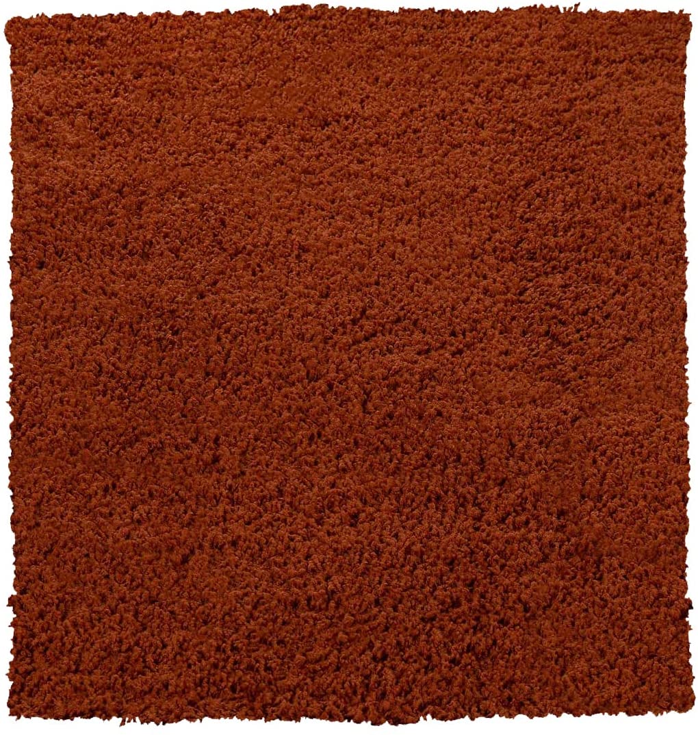 Tappeto Shaggy A Pelo Lungo Antiscivolo Moderno Per Salotto Camera Soggiorno In Diversi Colori E Misure, Colore Intenso E Brillante, 40 X 60 Cm, Terracotta -Armonia Decor AAHKMJXYDAFdJAOAIMEbOAch7w5JgkD56B5b mYl T9Isf4DCJN 5REyQjePMyCh luu0LPx1CwyB13gljfhsMAwqIz19Zdo YpAIps9MrBDK3hQooea NIGK2 4fCNfSAI=