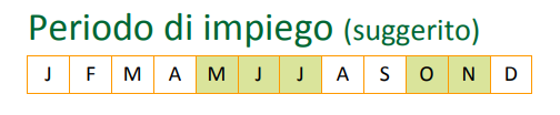large-concime_antistress.png?1580376586