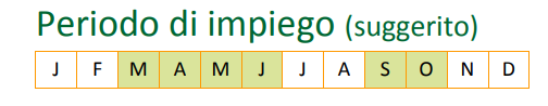 large-concime_semina.png?1580377603