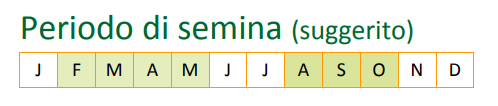 large-seme_supreme.png?1580374373