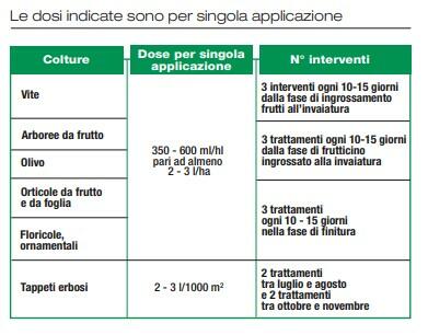 large-Immagine_2021-01-21_135115.jpg?1611233757