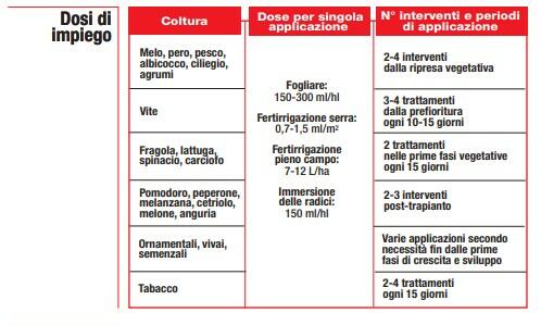 large-Immagine_2021-01-21_135818.jpg?1611234113