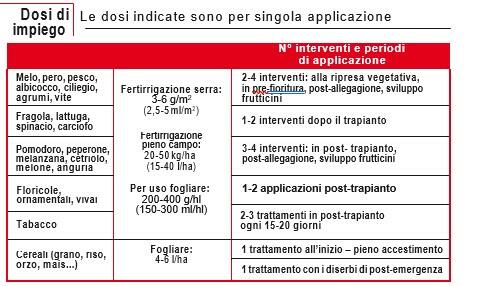 large-Immagine_2021-01-21_140859.jpg?1611234719