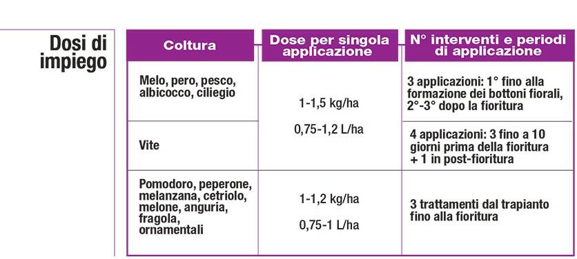 large-DIAFERRENE_CATALOGO_1.jpg?1612799074