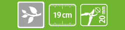large-stocker_384.png?1581519028