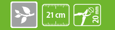 Forbice Potatura Professionale 21 cm STOCKER