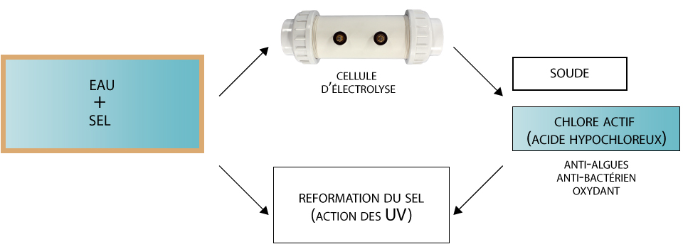 Electrolyseur Piscine Perle 55 M³ -Trait Piscine Soldes Magasin