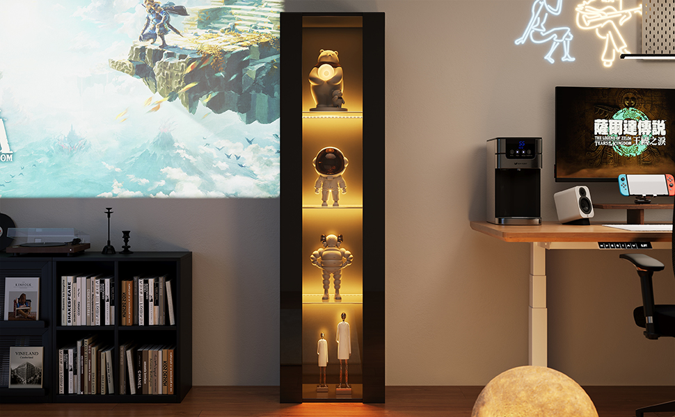 Vitrine dans un salon