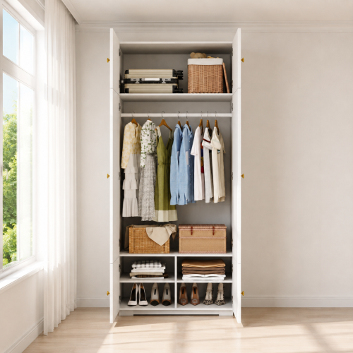 Organisation