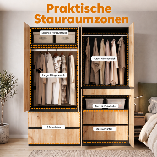 Organisation