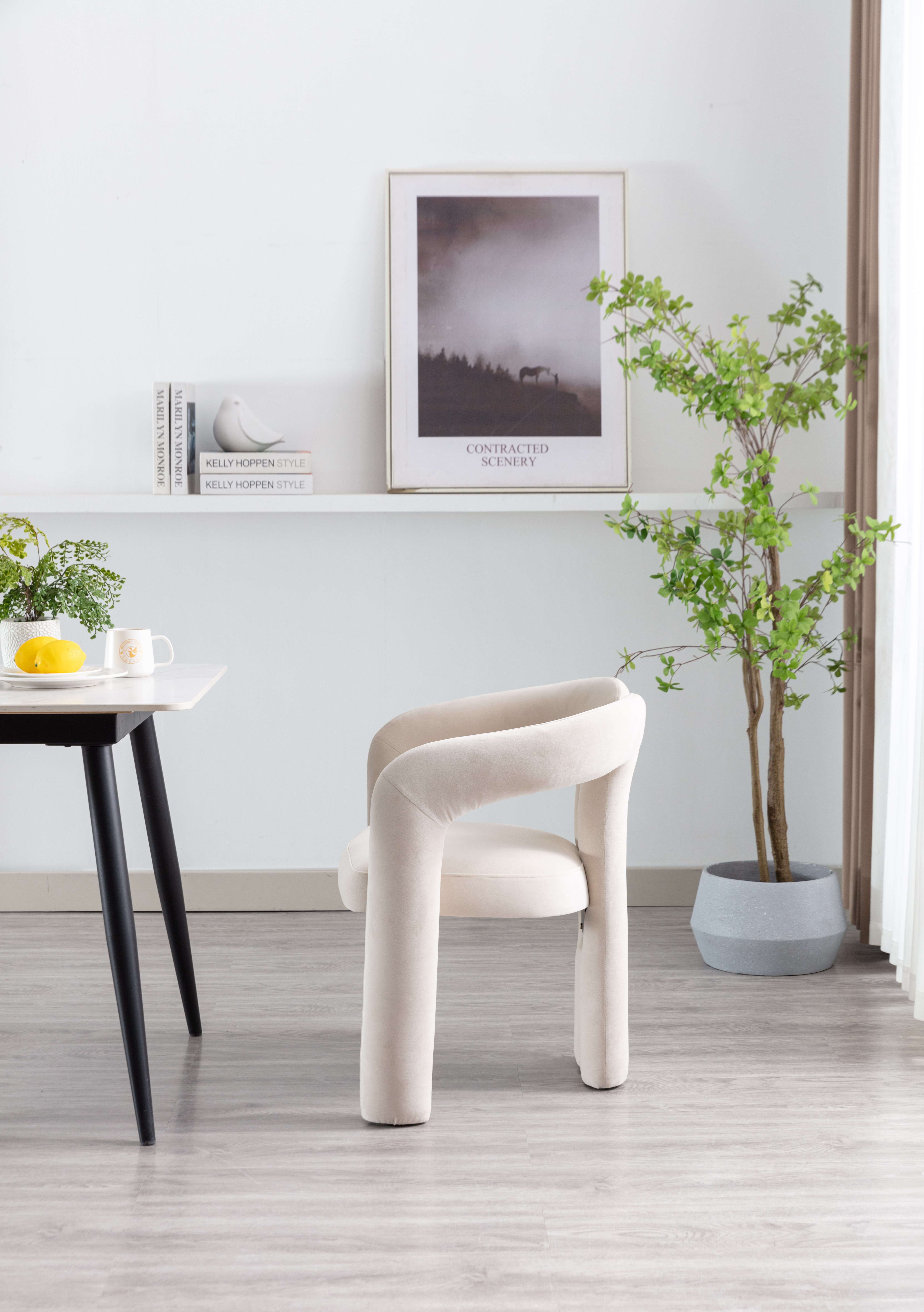 Présentation du chaise de salle à manger