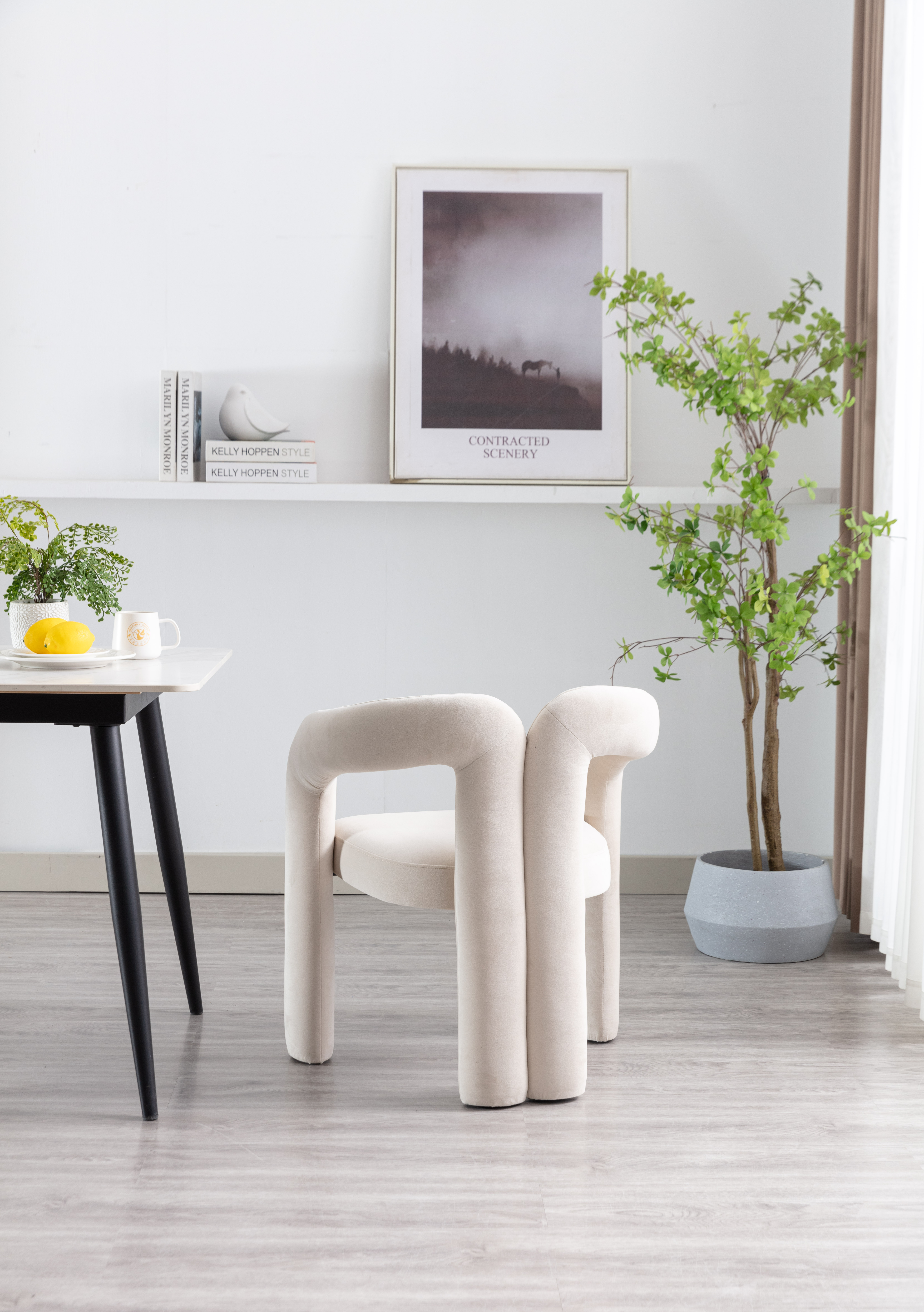 Présentation du chaise de salle à manger