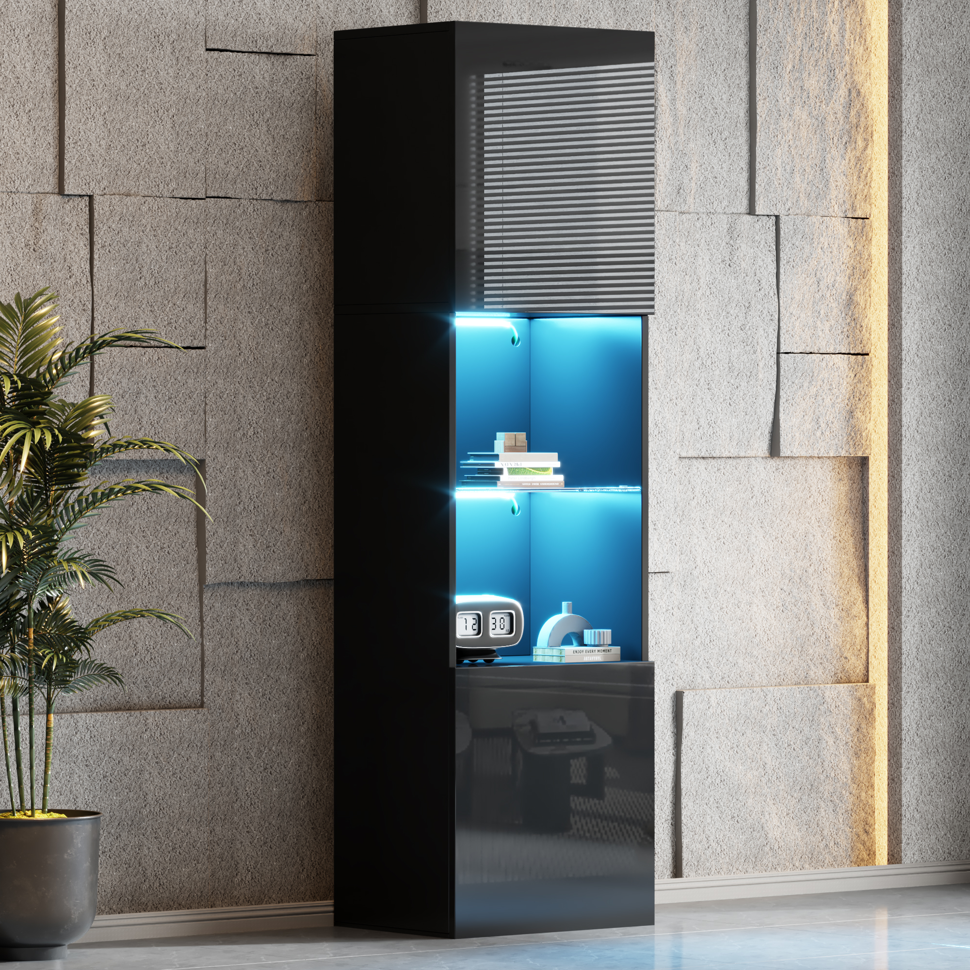Vitrine vue 6