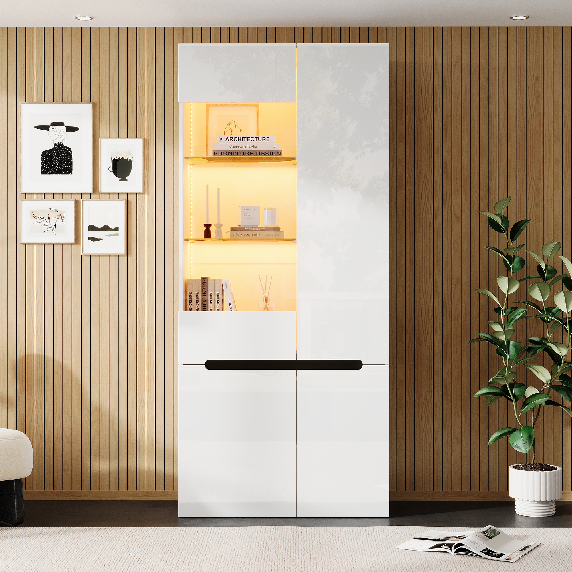 Vitrine vue 1