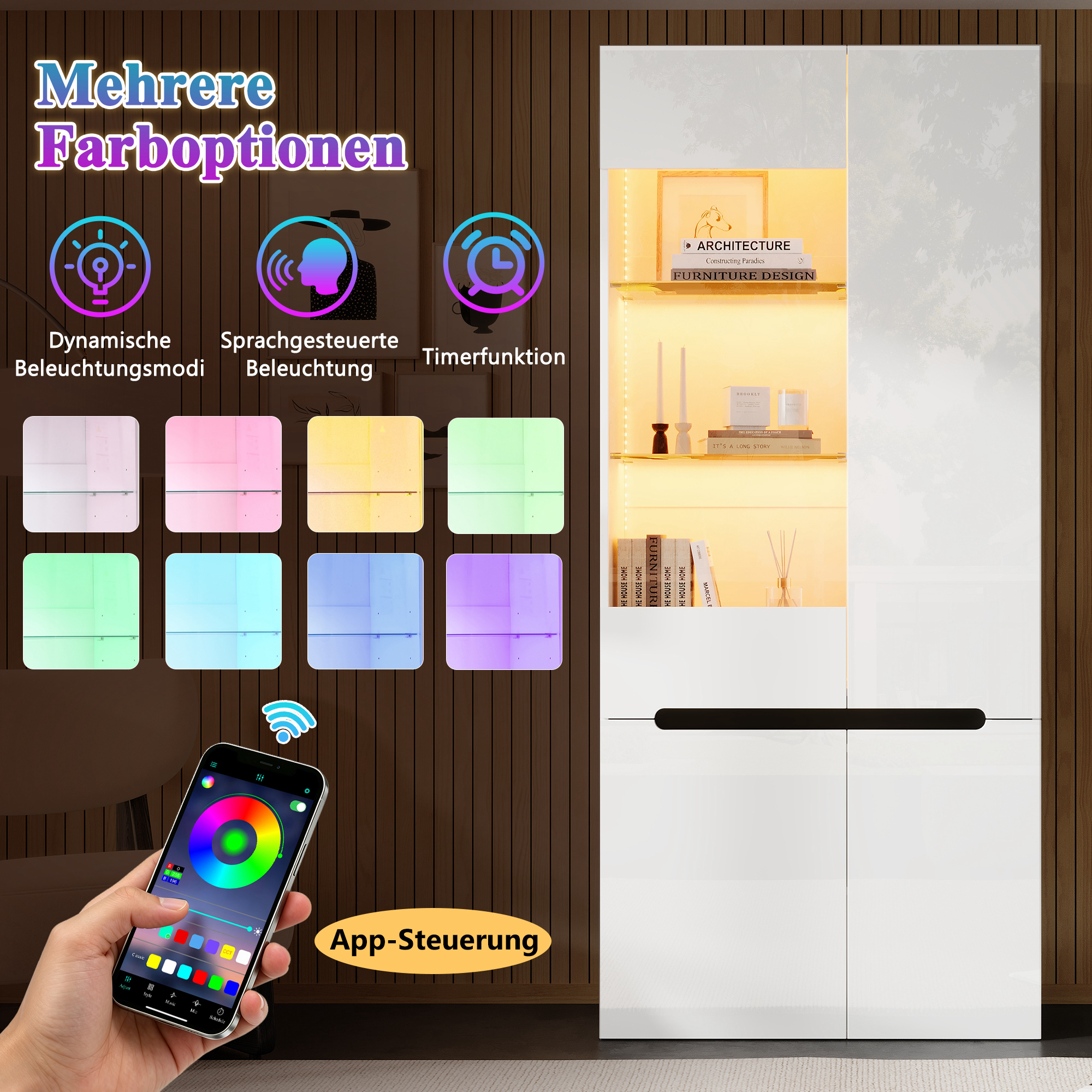 Vitrine vue 6
