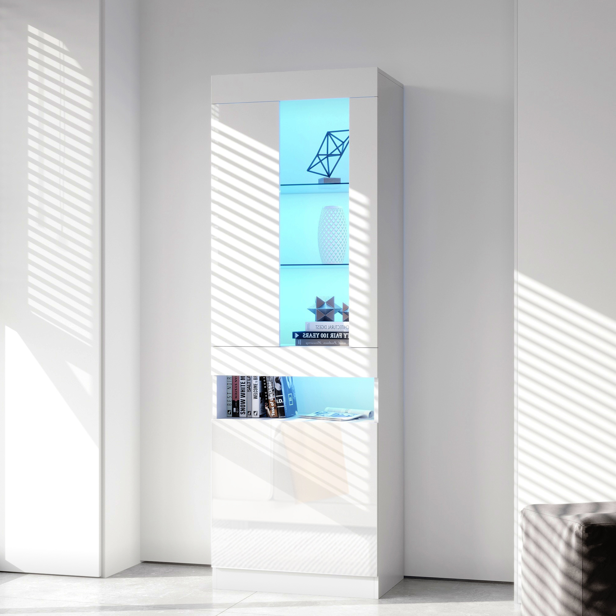 Vue principale du vitrine