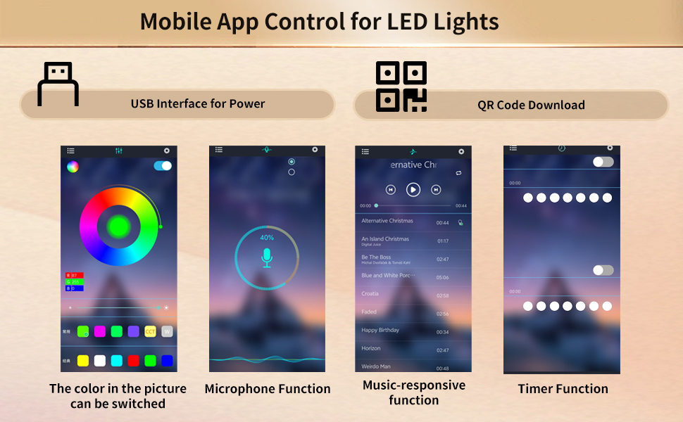 Détail du vitrine