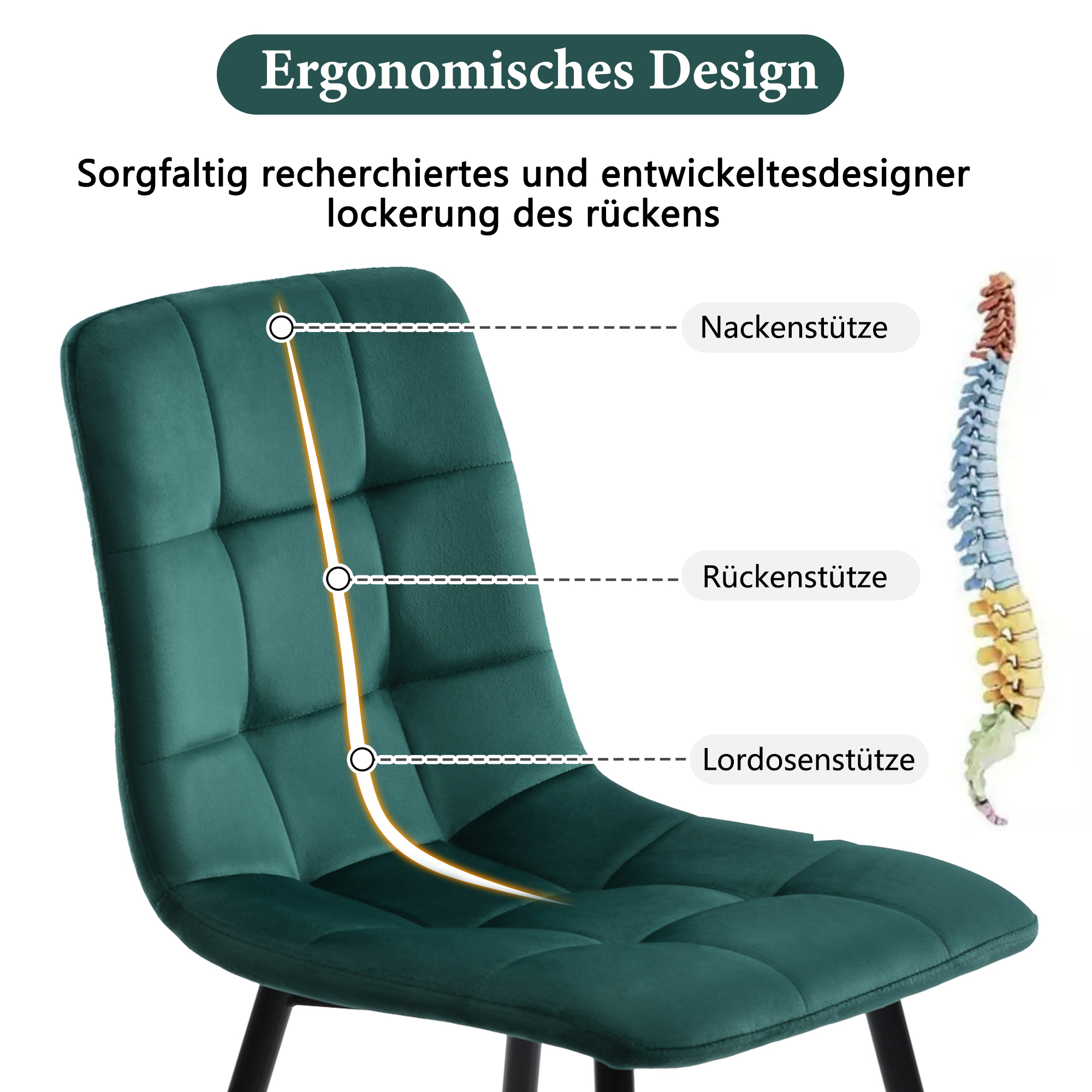 Présentation du chaise de salle à manger