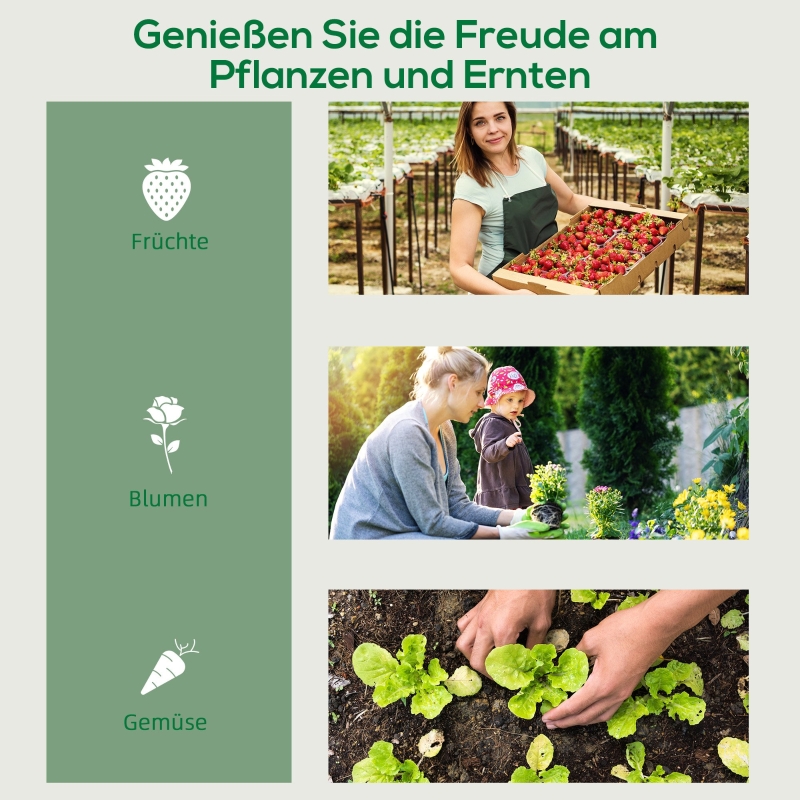 Mini‑serre compacte vue générale