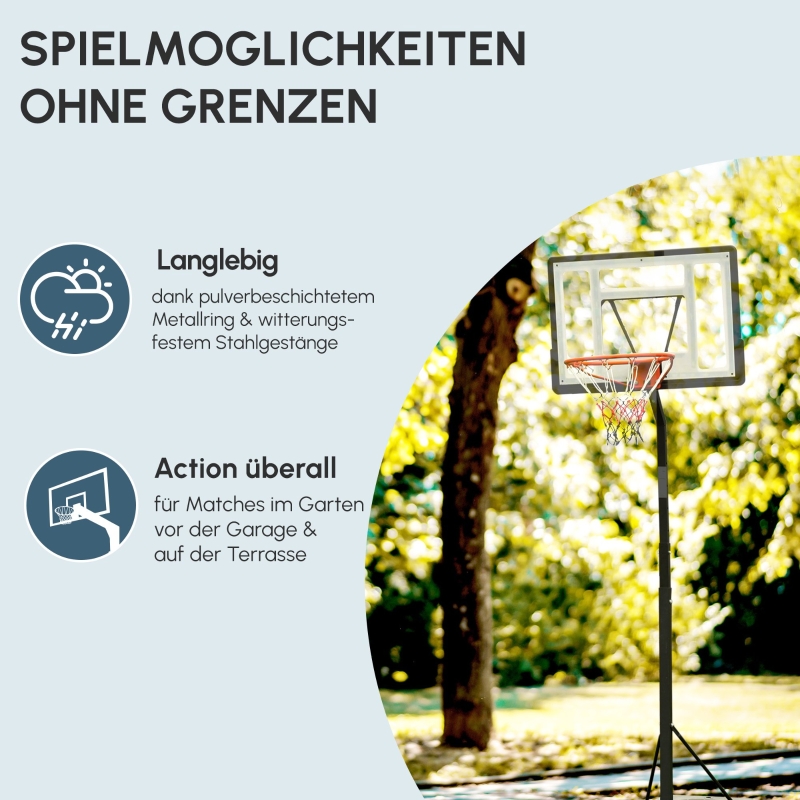 Présentation du panier de basket