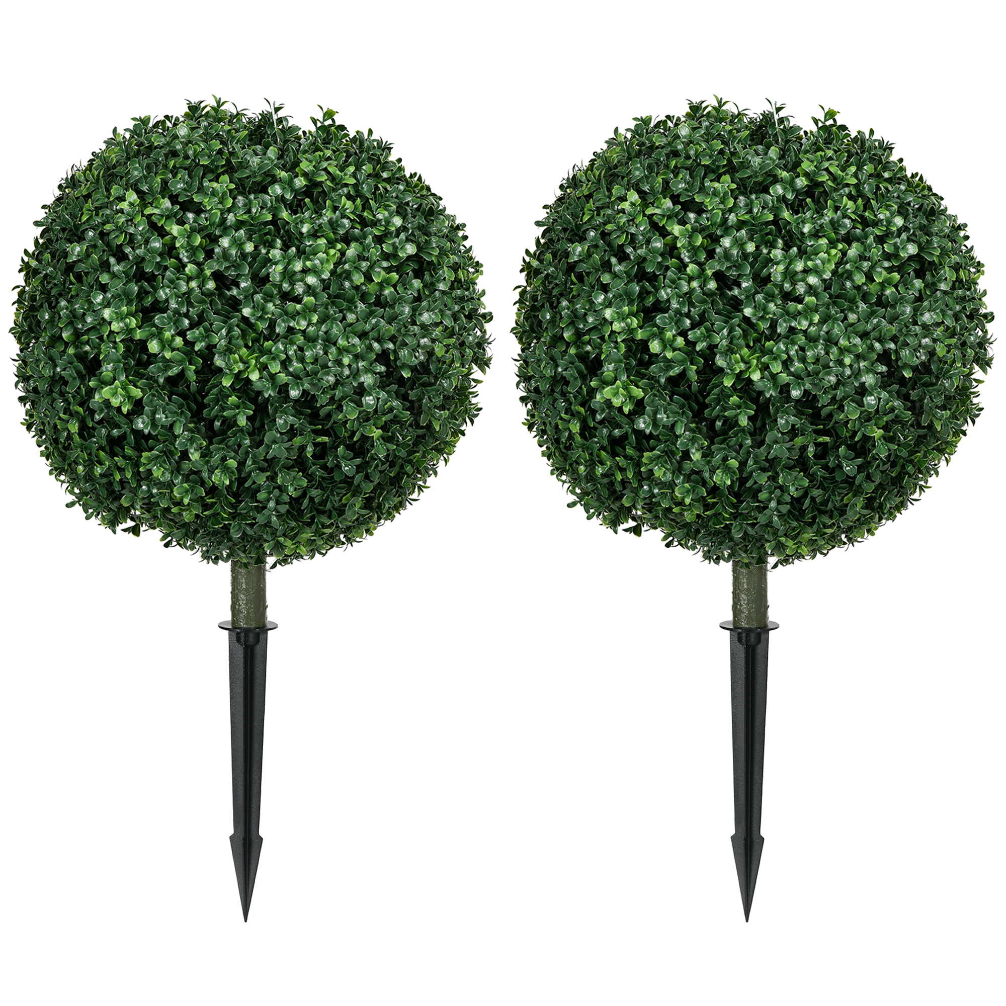Vue principale du plante décorative