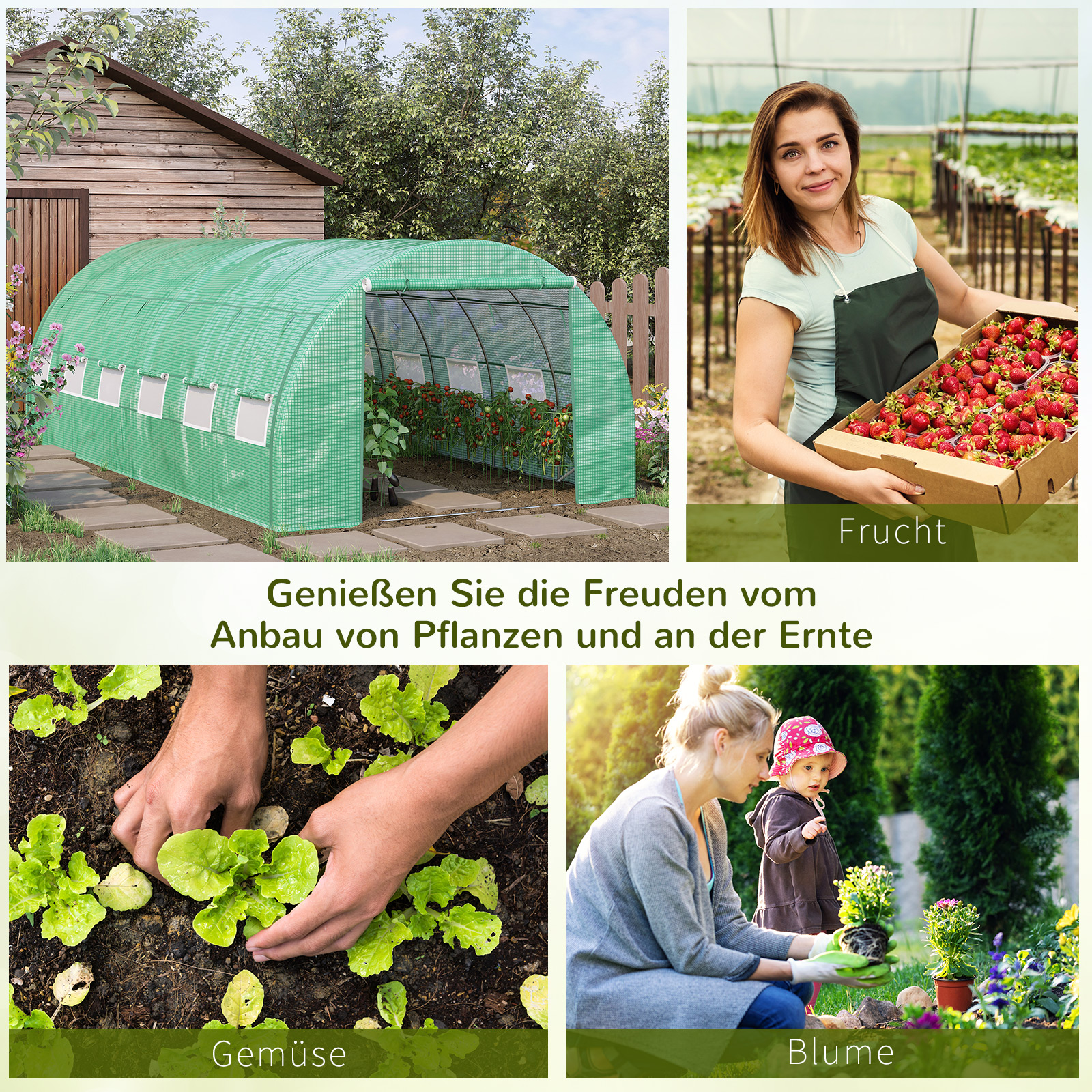 Présentation du serre de jardin