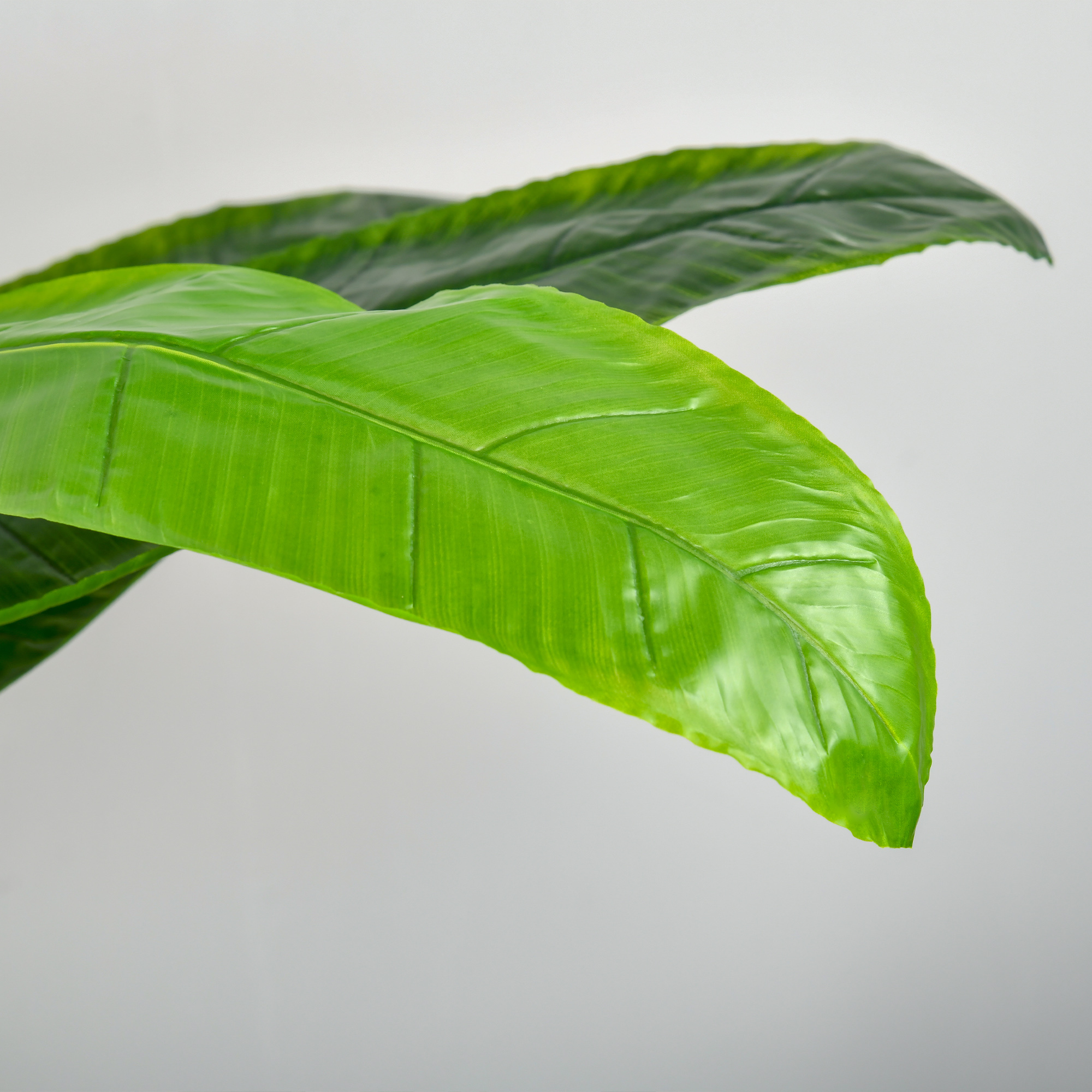 Grandes feuilles plastique haute qualité texture naturelle
