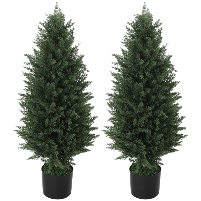 Vue principale du plante décorative
