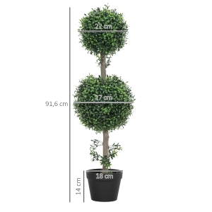 Détail du plante décorative