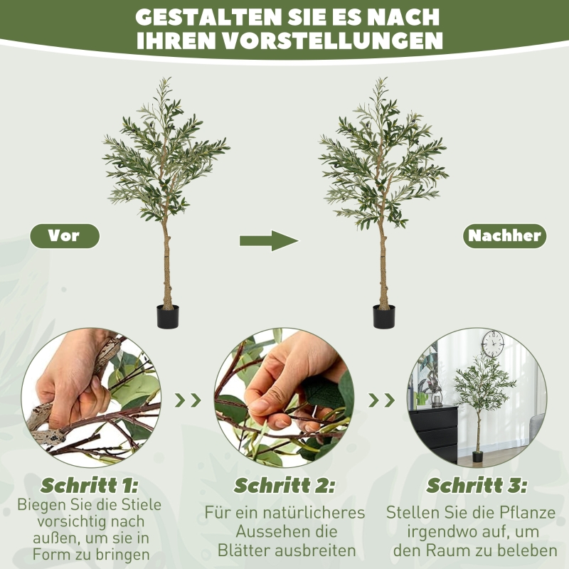 Présentation du plante décorative