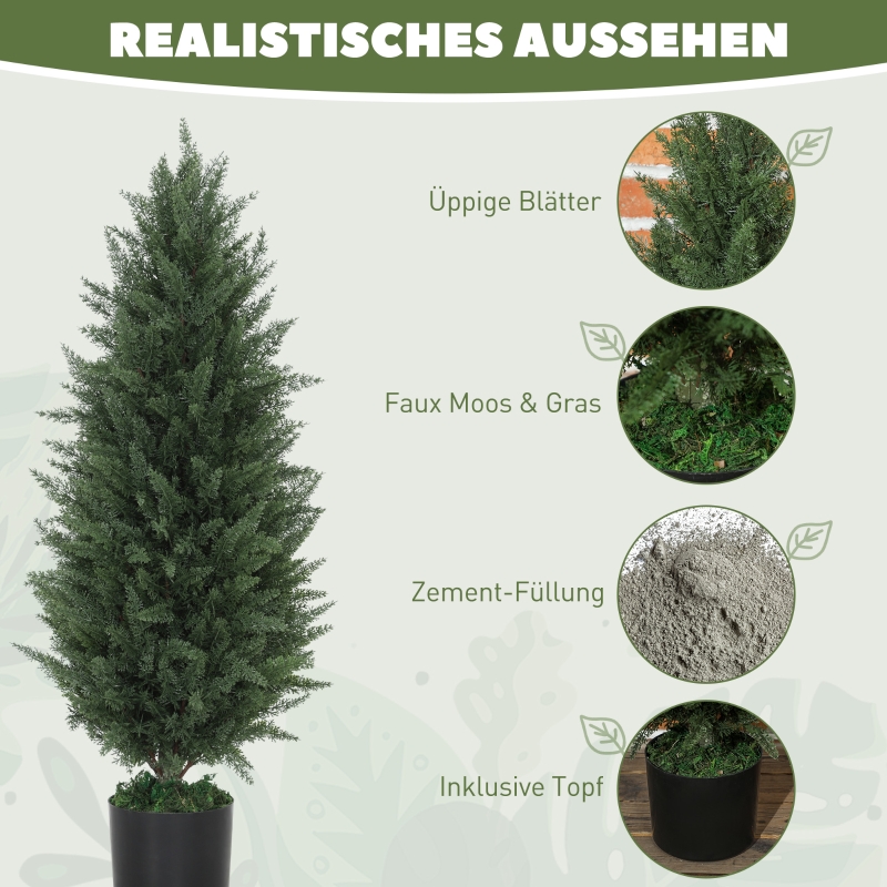 Détail du plante décorative