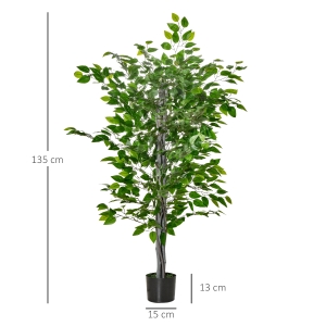 Détail du plante décorative