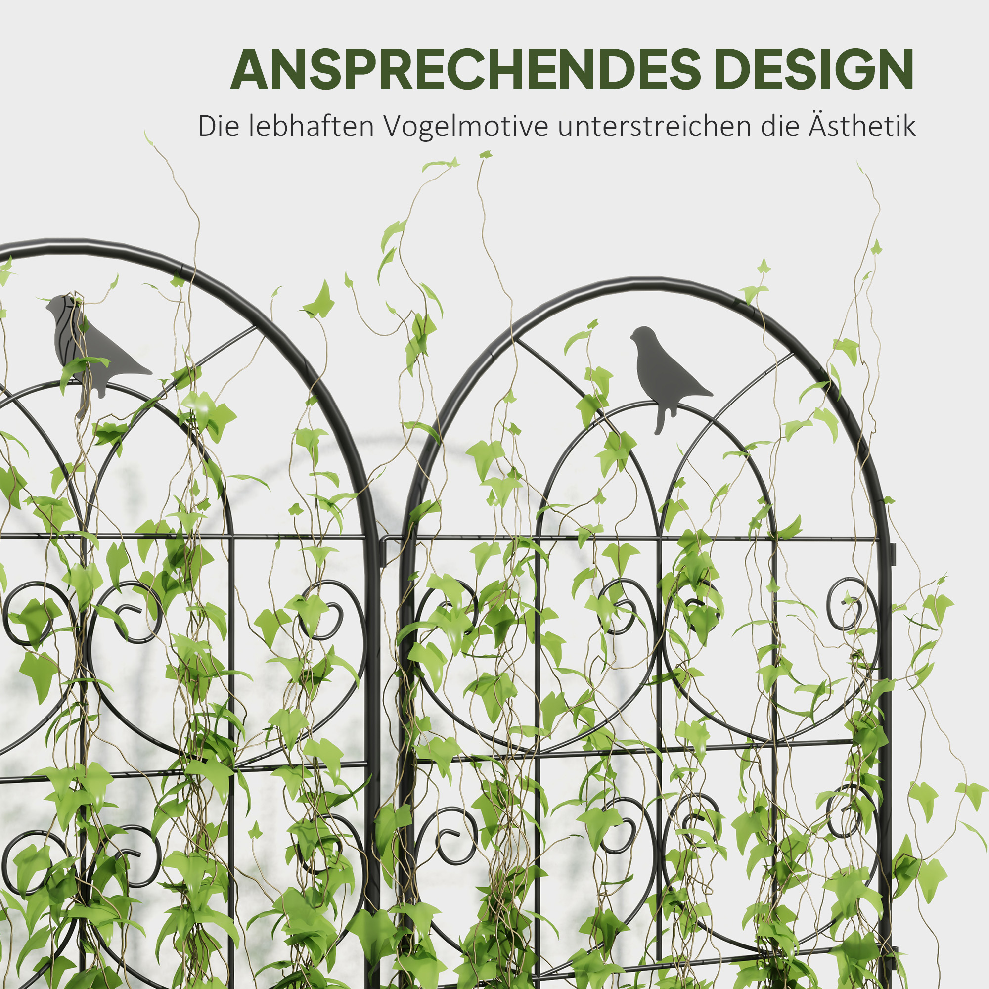 Présentation du arche de jardin