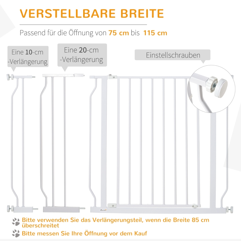 Présentation du enclos extérieur