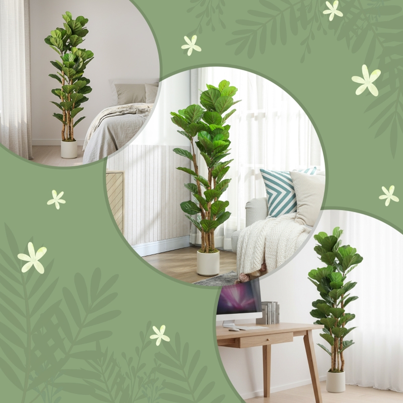 Présentation du plante décorative
