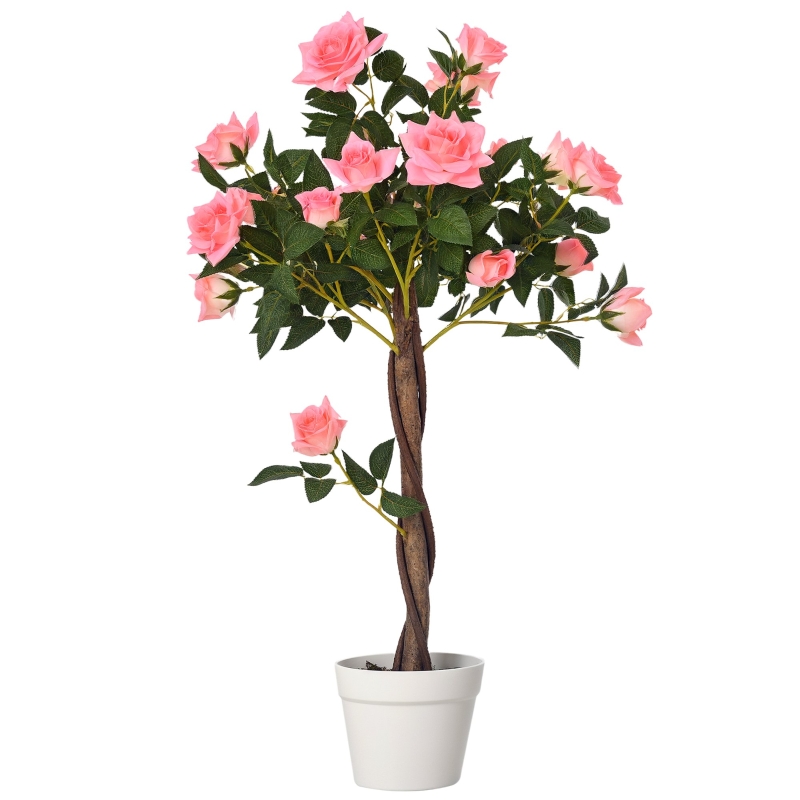 Vue principale du plante décorative