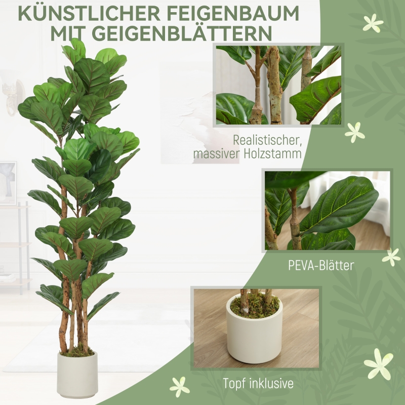 Détail du plante décorative