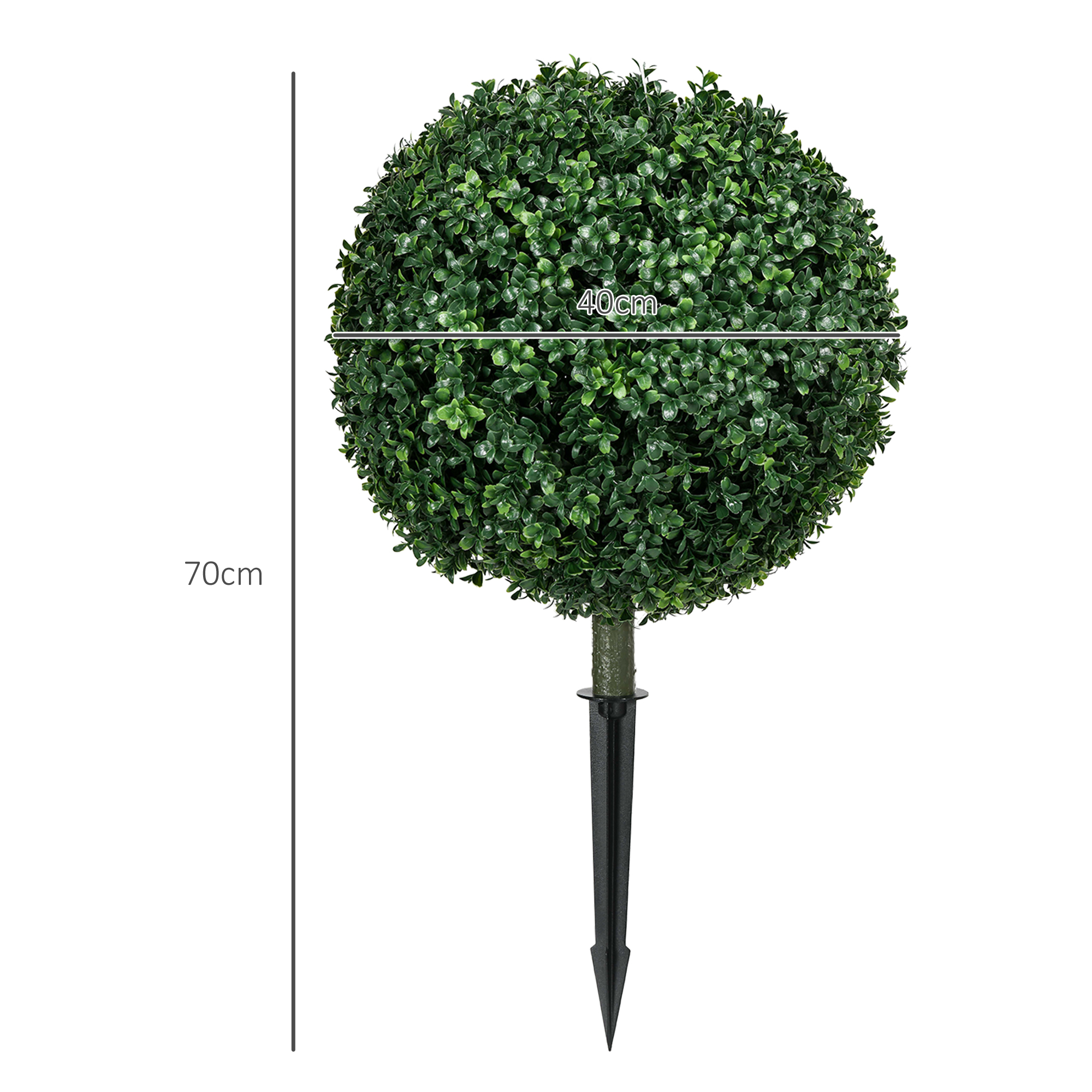 Dimensions du plante décorative