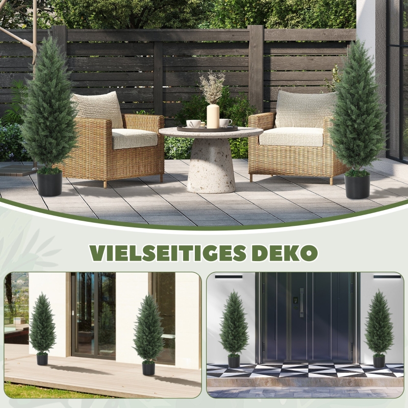 Détail du plante décorative