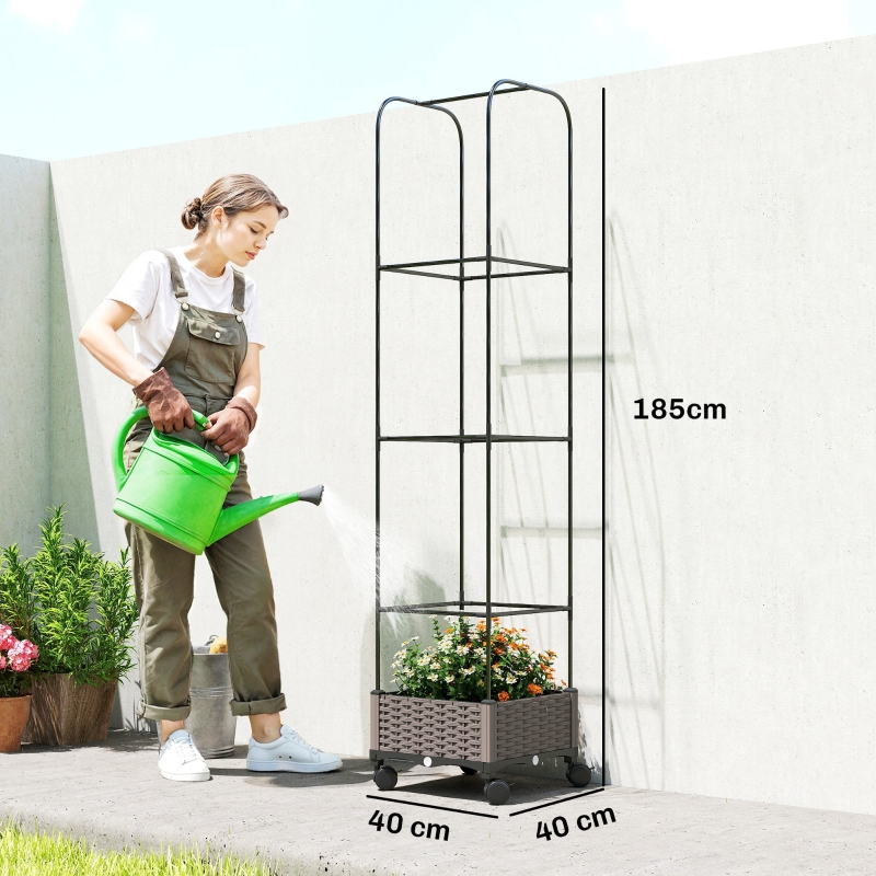 Dimensions du bac à plantes
