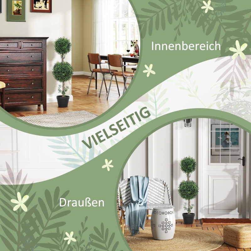 Présentation du plante décorative