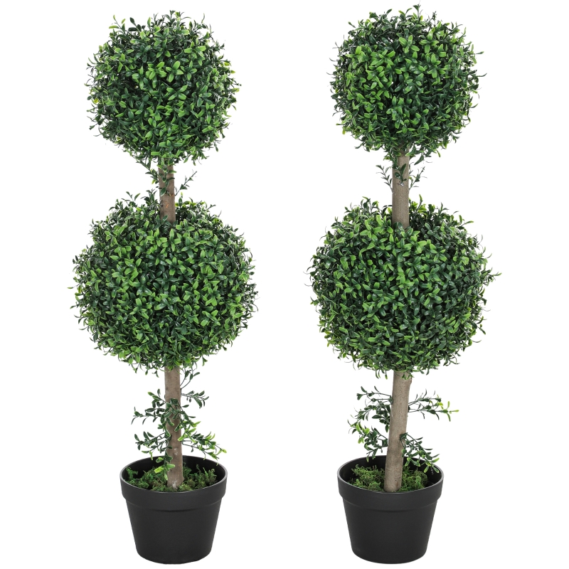 Vue principale du plante décorative