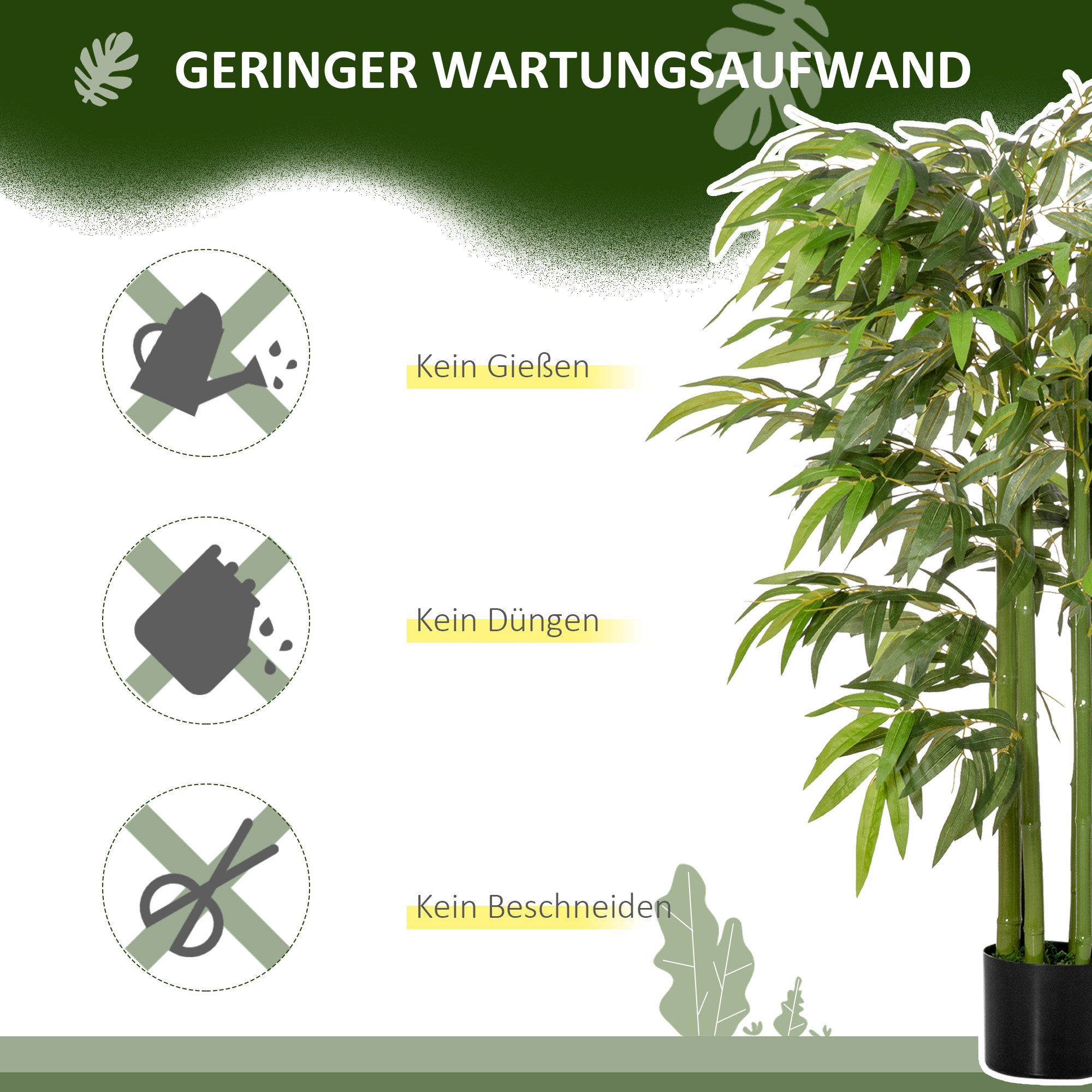 Présentation du plante décorative