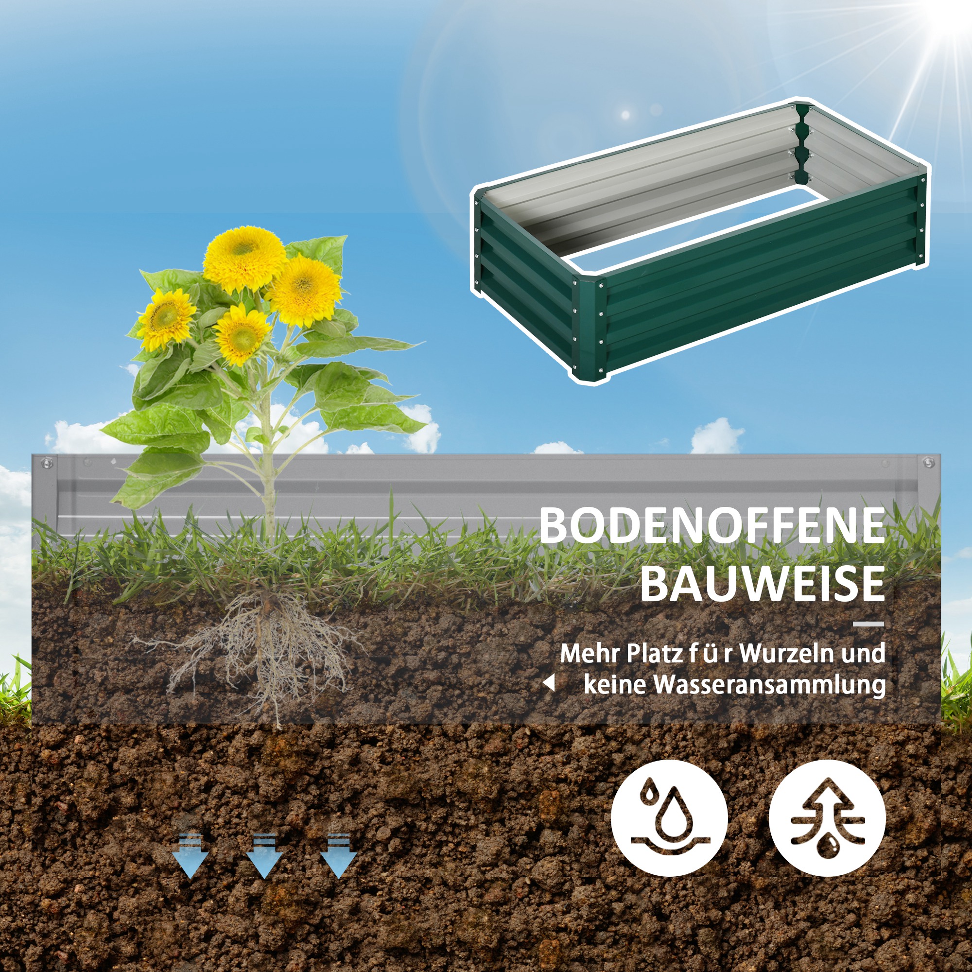 Présentation du bac à plantes