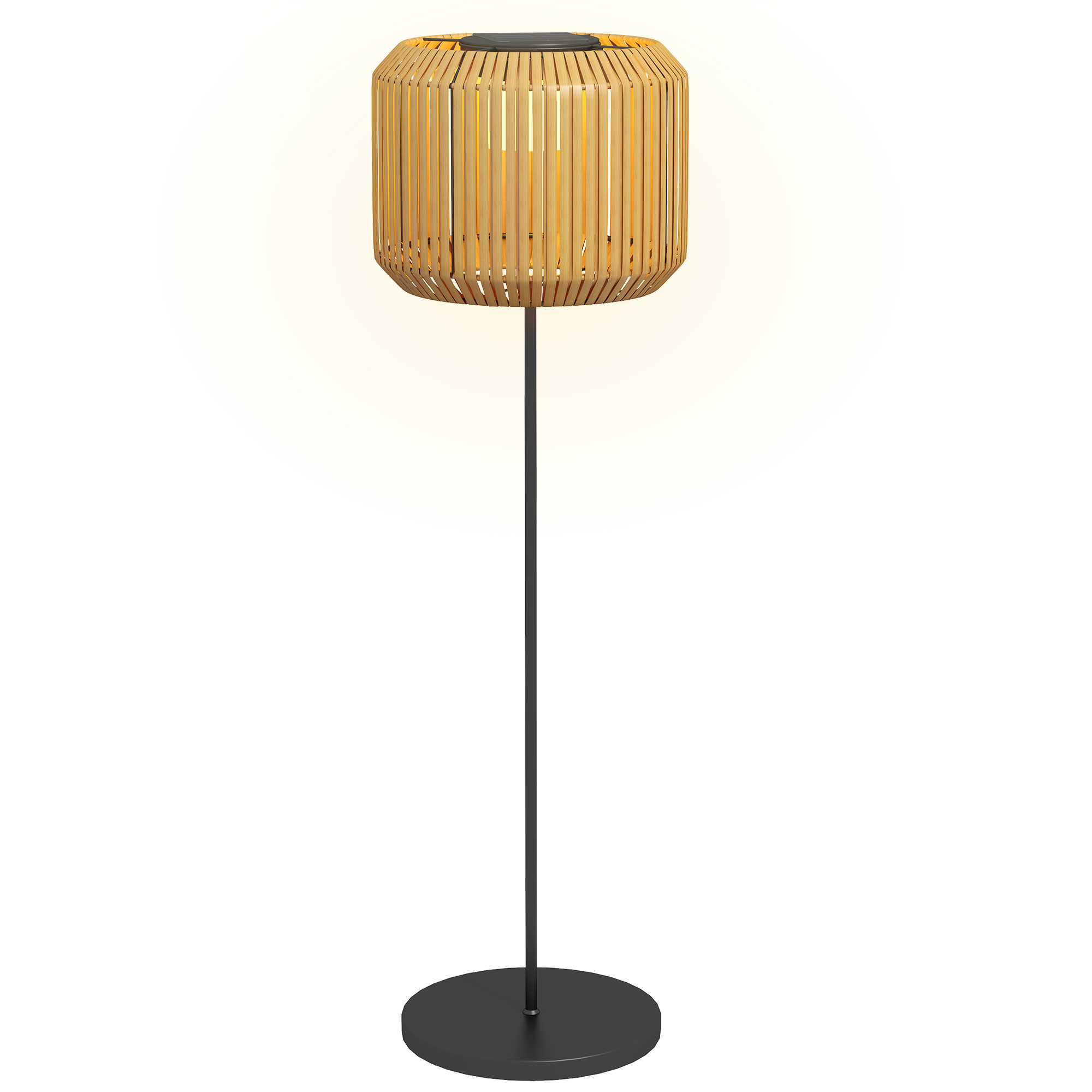 Vue principale du luminaire extérieur