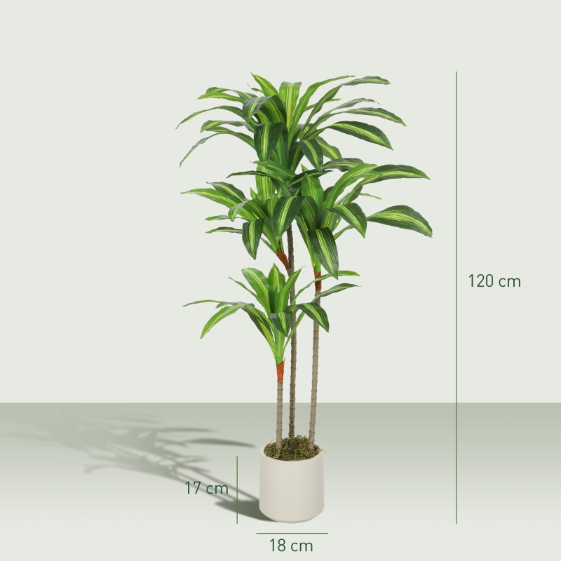 Dimensions du plante décorative
