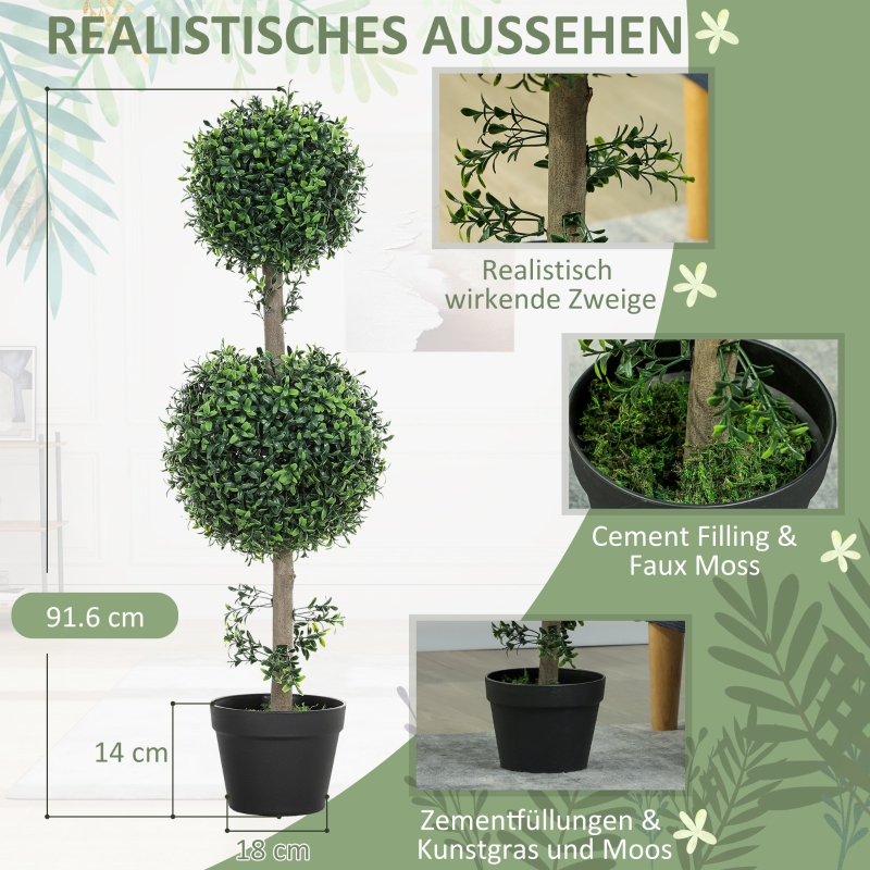 Détail du plante décorative